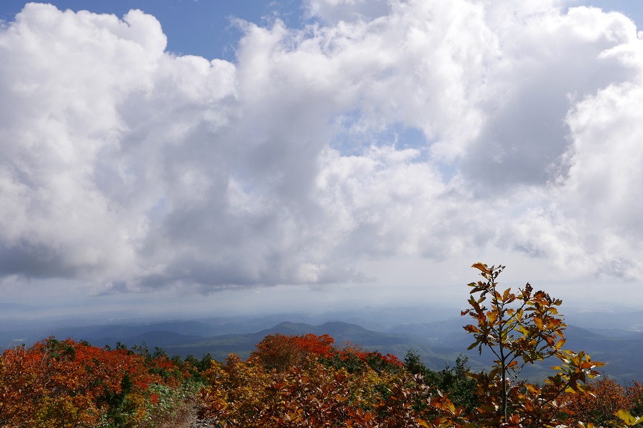 栗駒山中央コースの登山道の紅葉風景写真下界を望む