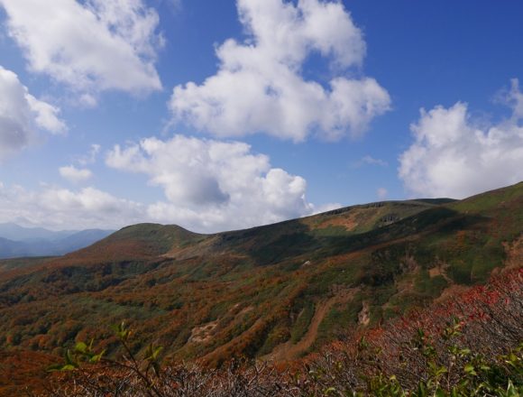 栗駒山中央コースの登山道の紅葉風景写真