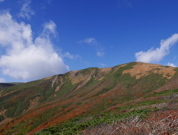 栗駒山中央コースの登山道の紅葉風景写真