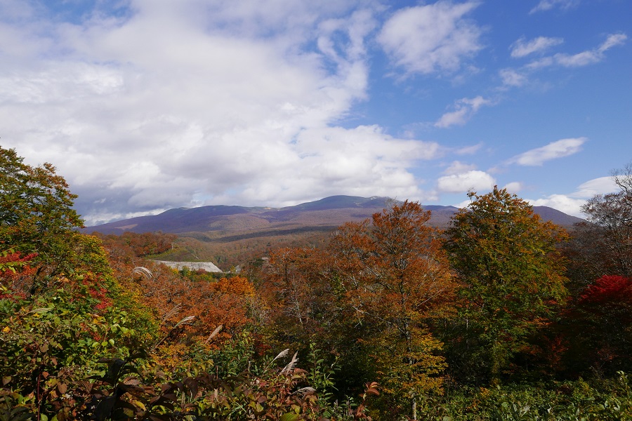 栗駒山の紅葉湯浜峠付近からの紅葉の写真画像