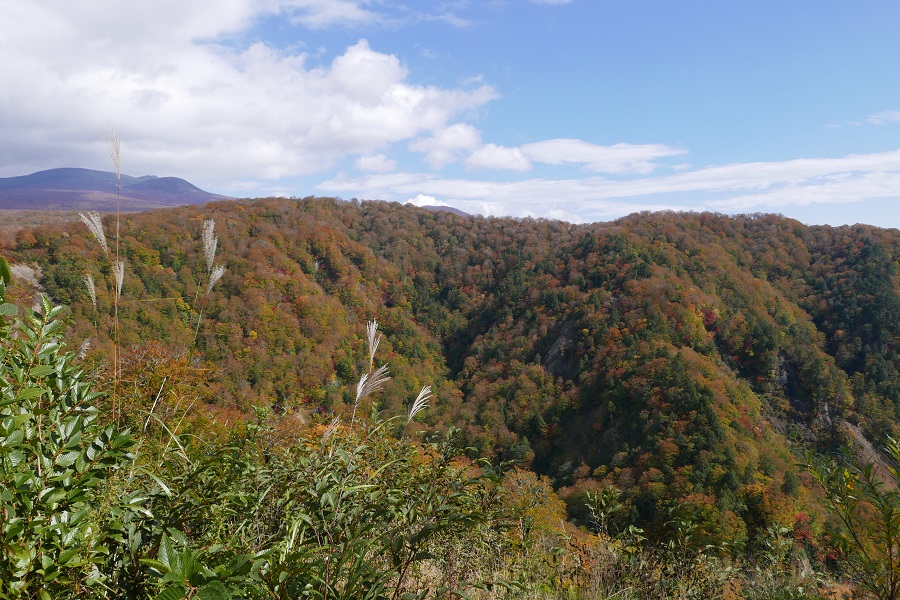 栗駒山の紅葉湯浜峠付近通過の道中の紅葉の写真画像