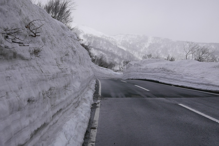 栗駒山の雪壁の写真