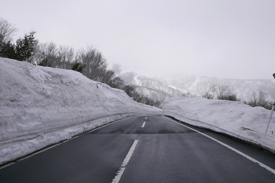 栗駒山の雪壁の写真