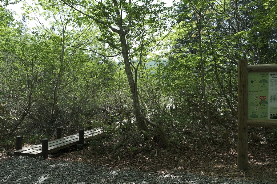 世界谷地原生花園の木道の入り口の風景写真