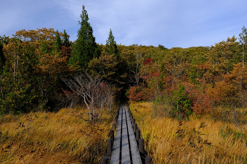 世界谷地原生花園の紅葉の風景写真